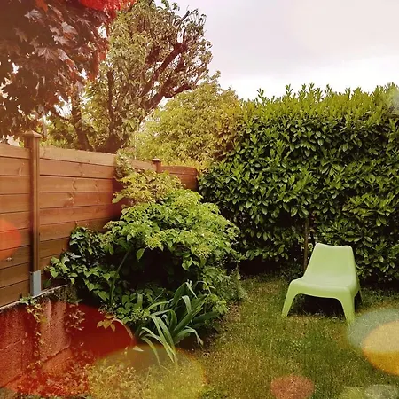 Les Petits Poissons Verts Et Massages