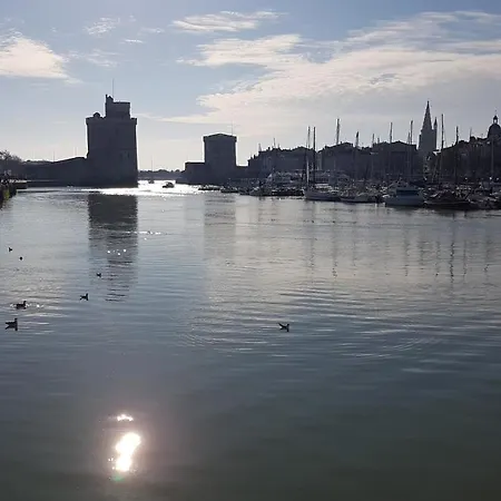 Les Petits Poissons Verts Et Massages *