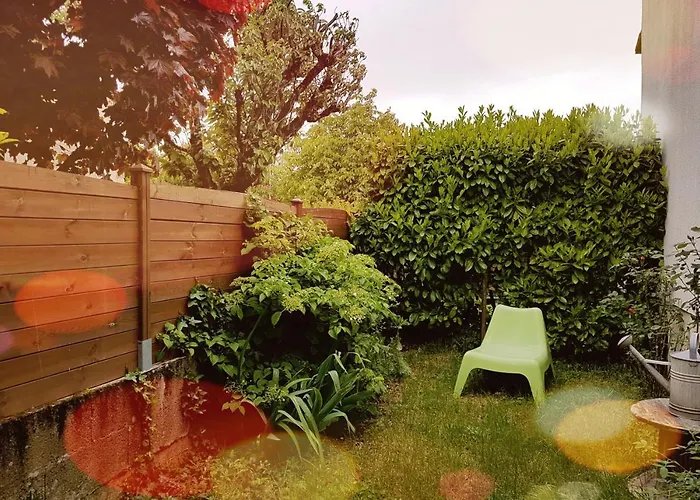 Les Petits Poissons Verts Et Massages