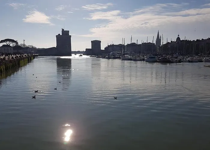 Les Petits Poissons Verts Et Massages *