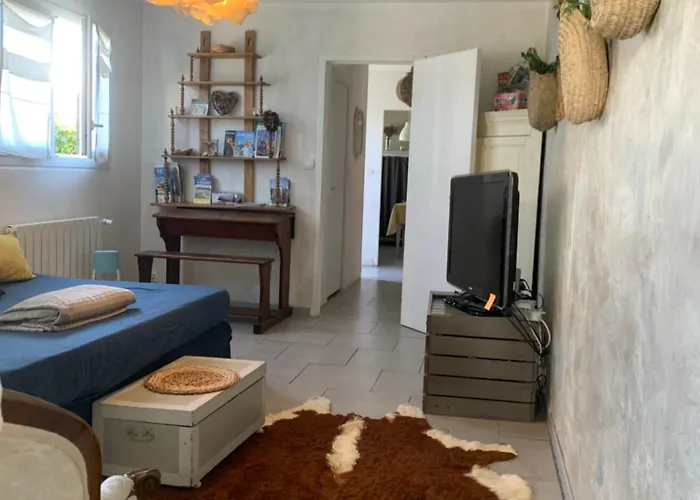 Les Petits Poissons Verts Et Massages *